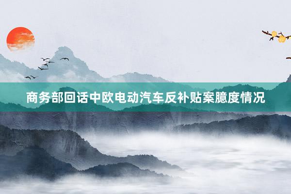 商务部回话中欧电动汽车反补贴案臆度情况