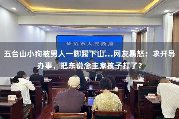 五台山小狗被男人一脚踢下山…网友暴怒：求开导办事，把东说念主家孩子打了？