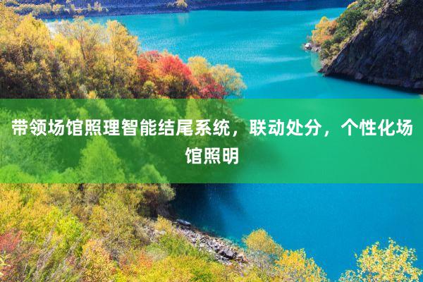带领场馆照理智能结尾系统，联动处分，个性化场馆照明