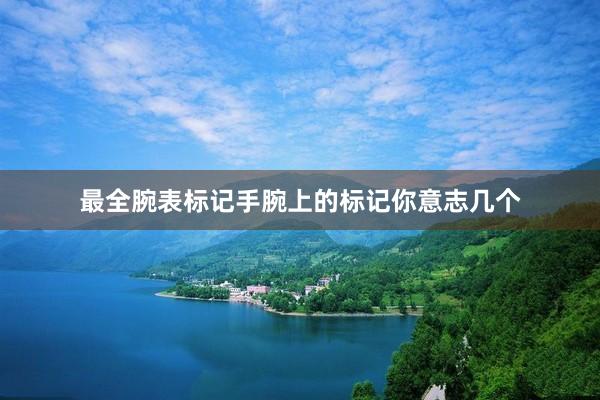 最全腕表标记手腕上的标记你意志几个