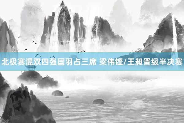 北极赛混双四强国羽占三席 梁伟铿/王昶晋级半决赛