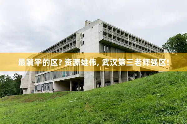 最躺平的区? 资源雄伟, 武汉第三老师强区!